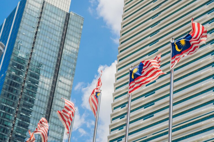 Government consulting